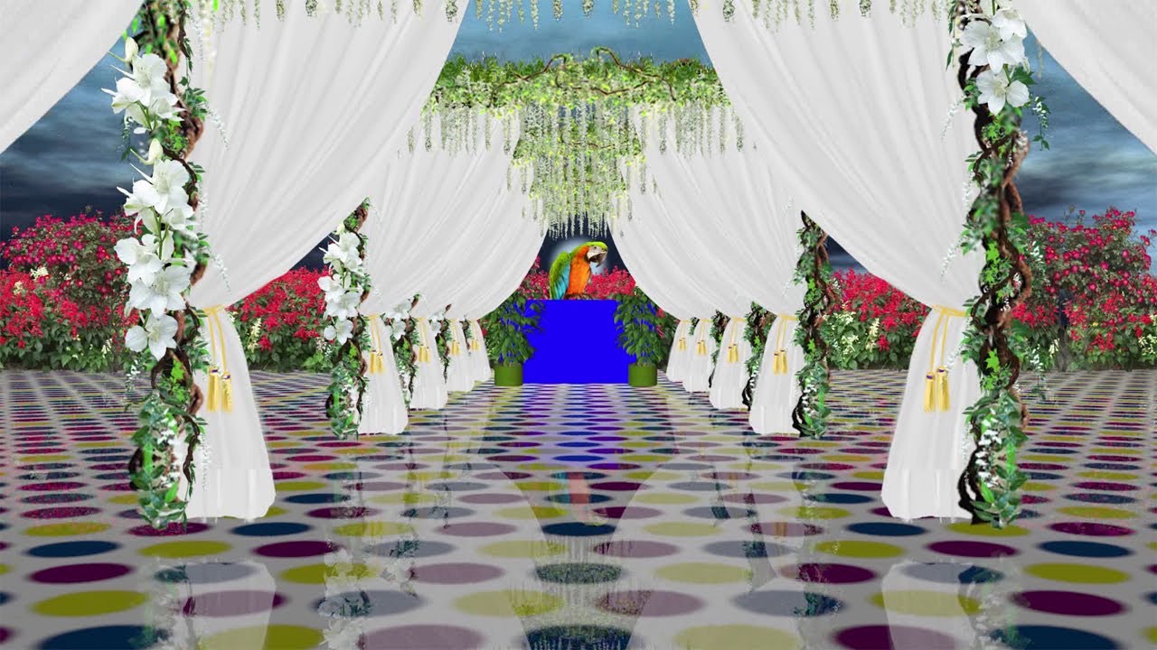 New 3d Wedding Green Screen Video Effects 2020 Vol 9