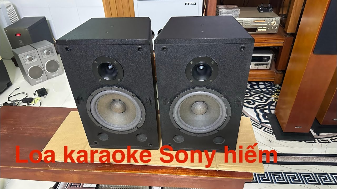 Loa SONY SRP-S720, dòng loa chuyên karaoke bass 20 và trép còi, đã text hát rất hay. Giá cũng tốt