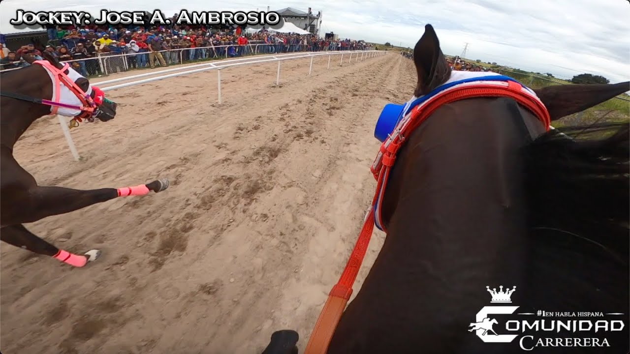 ABIERTA MILLONARIA. Trailera Vs. Lupita Vs. Loca. Carril Ernesto de los Hnos. Cruz, TLAX.