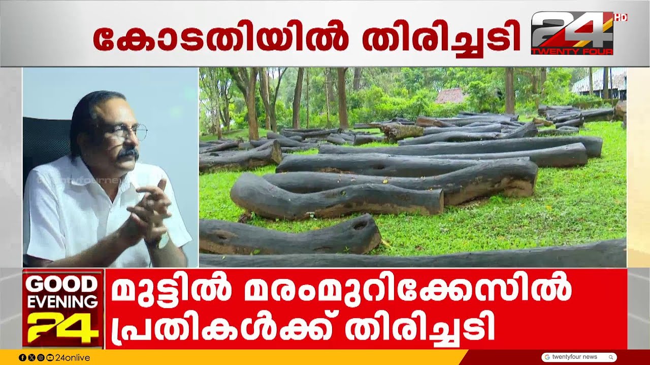 മുട്ടിൽ മരംമുറി; 'കേസിന്റെ ,മുന്നോട്ട് പോക്കിൽ ഇന്നത്തെ വിധിയ്ക്ക് വലിയ പ്രാധാന്യമുണ്ട്'