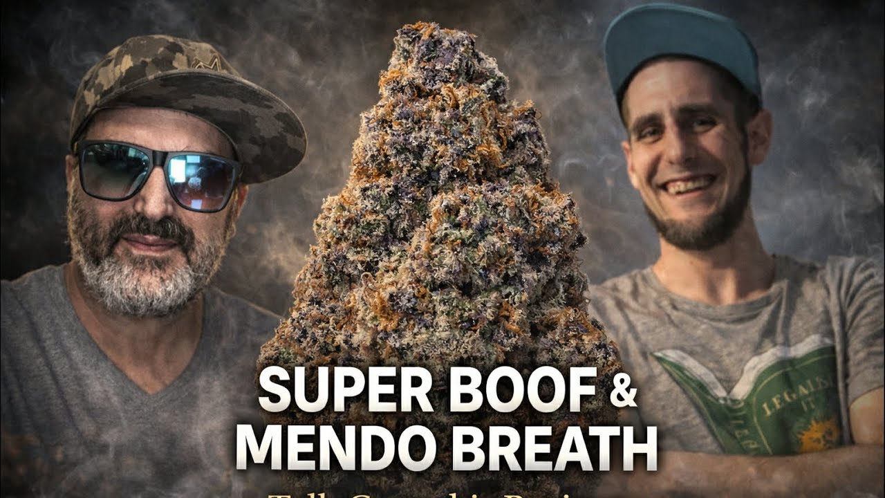 Most Hated Grower? Super Boof & Mendo Breath Review | 518 Craft Grower Johnny Federighi
