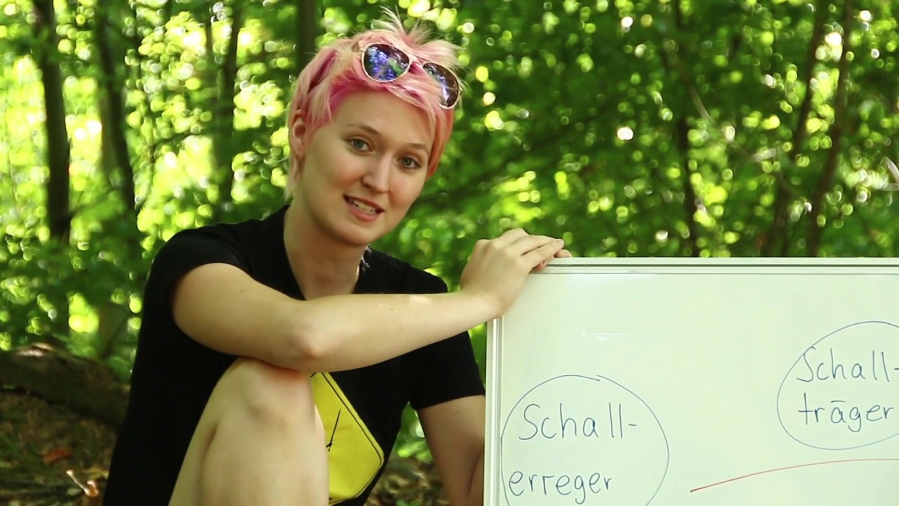 Physik - Klasse 7 - Einführung Schall