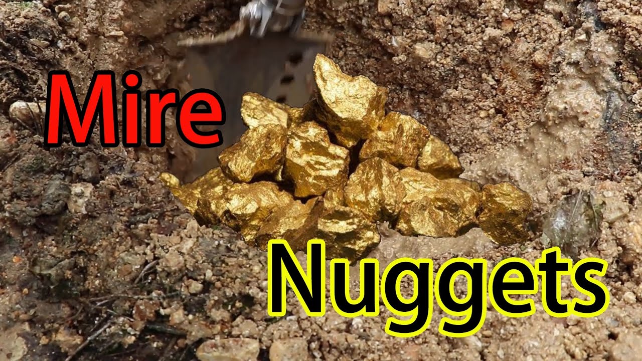 Gold hunter металлоискатель охота за сокровищами / добыча трясины, золотые самородки