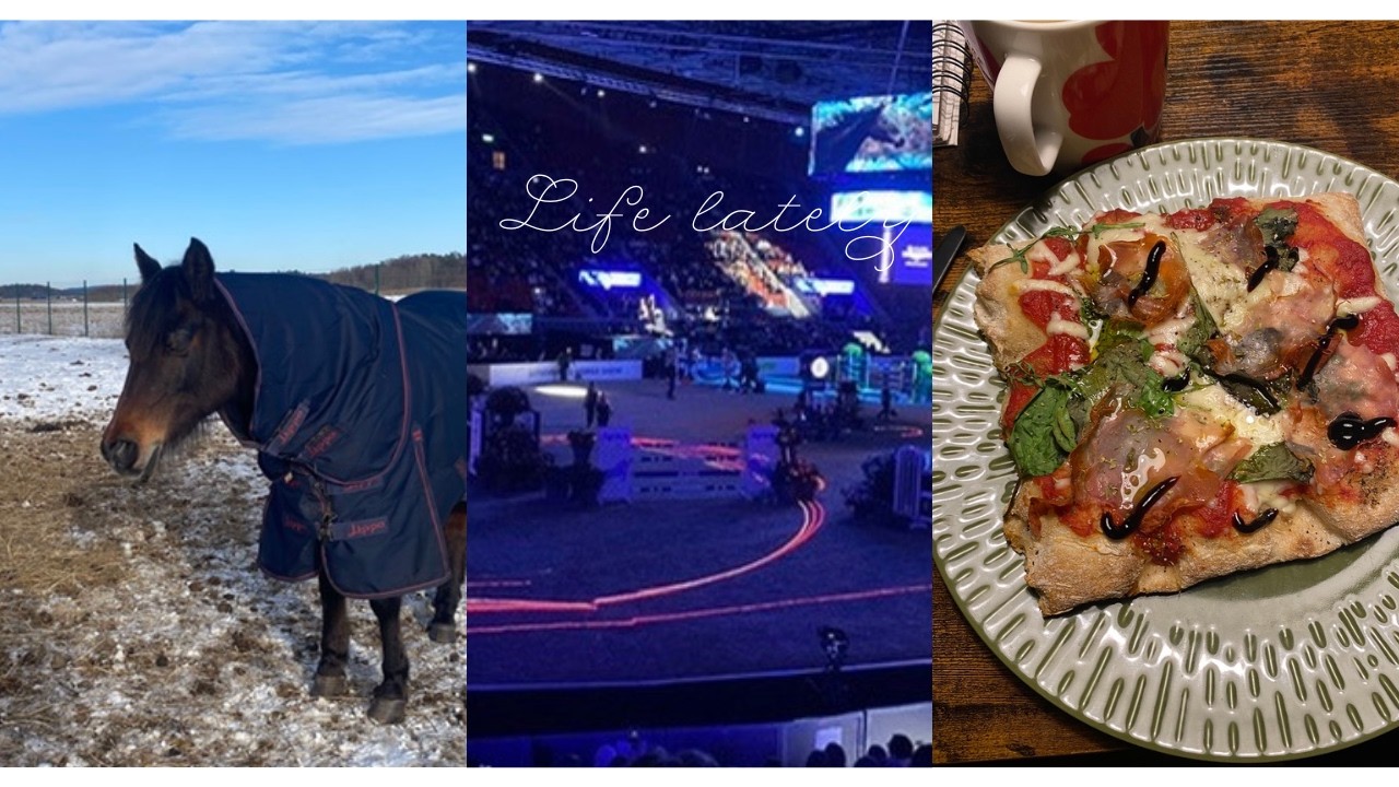 Riding lessons & study days 🐴| Vlog