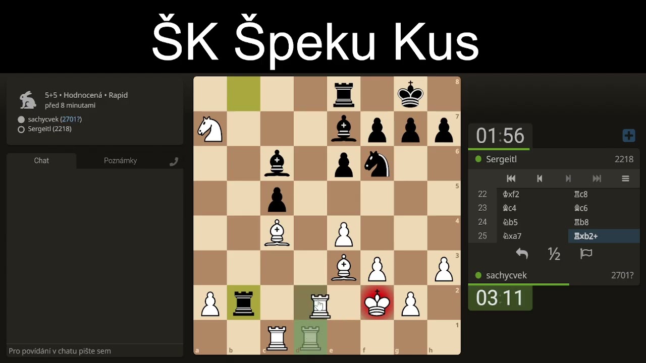 ŠK ŠK Jak přemýšlí velmistr Šílená koncovka a nečekaný závěr