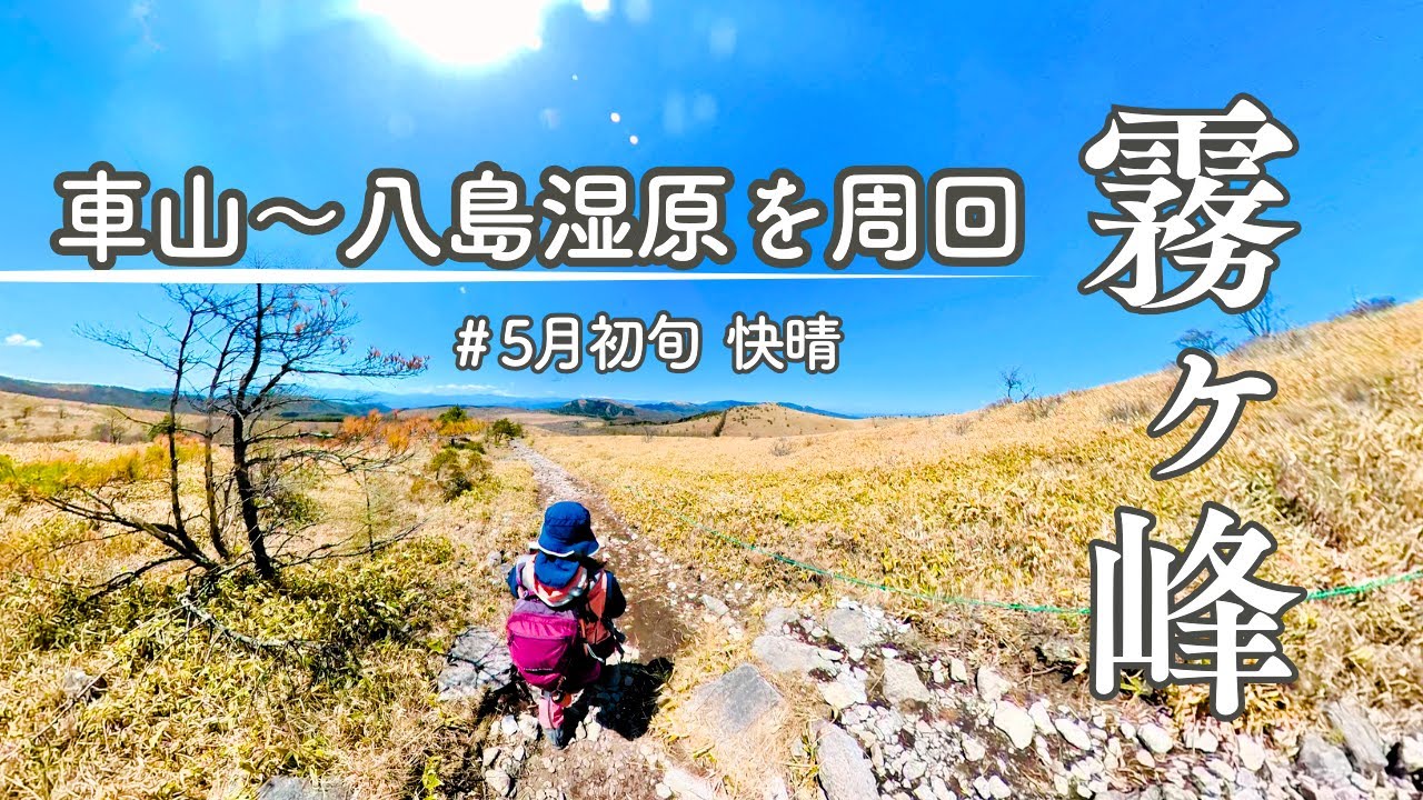 【５月の霧ヶ峰】車山～蝶々深山～八島湿原を周回｜GWでものんびり