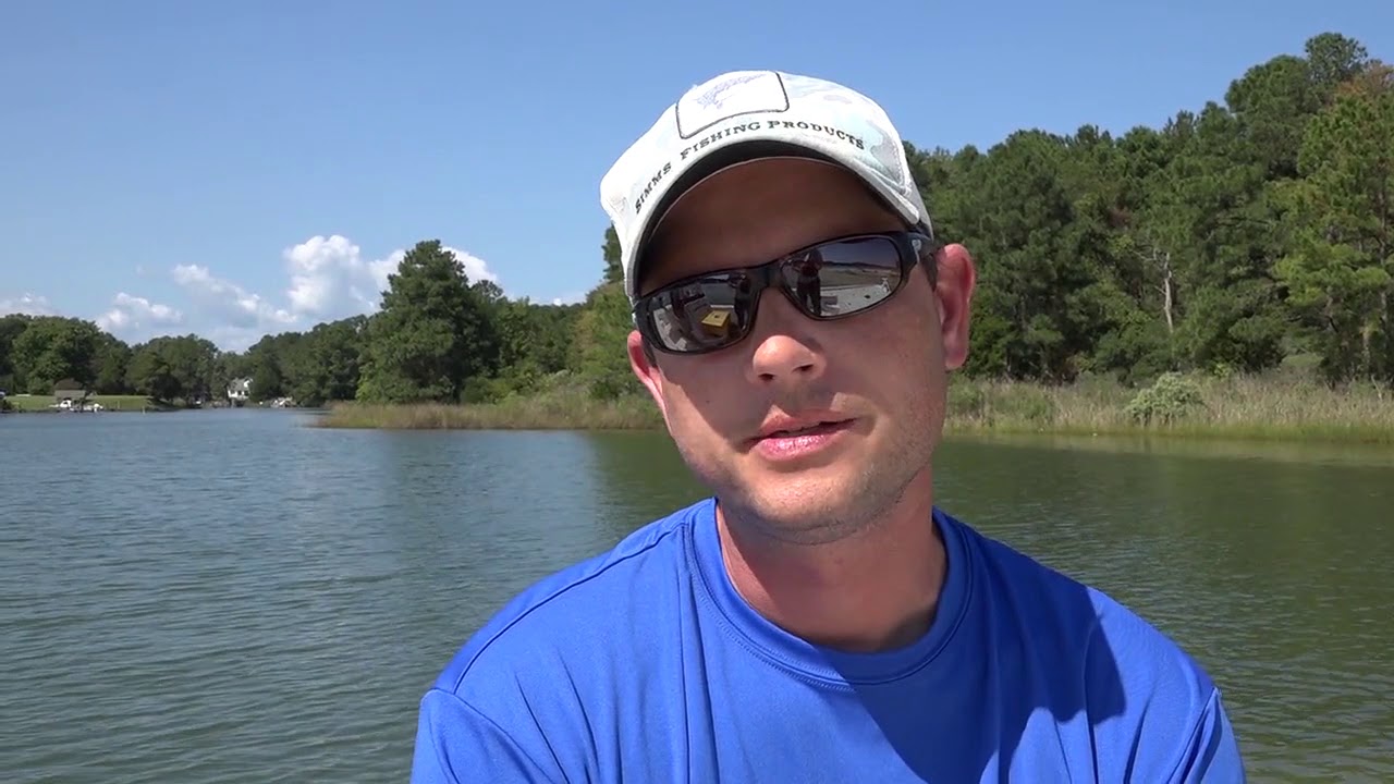 Menhaden: The Chesapeake's Unsung Hero