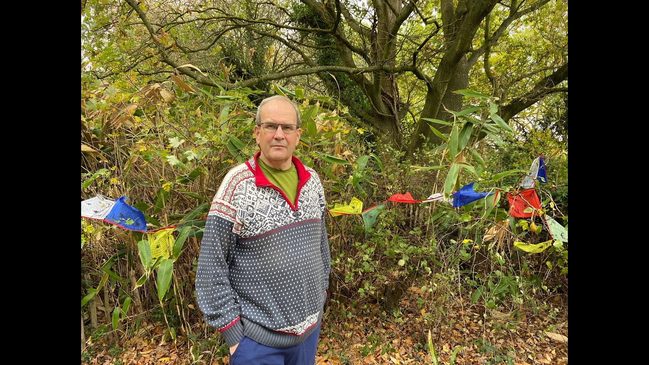 Regenerative Cultures and Economies