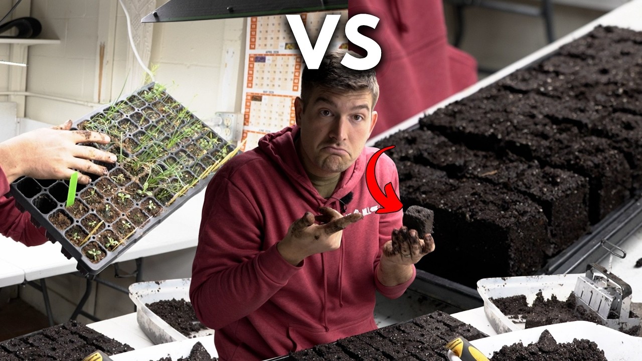Plastic Free SEED STARTING With Soil Blocks Everything to Know!