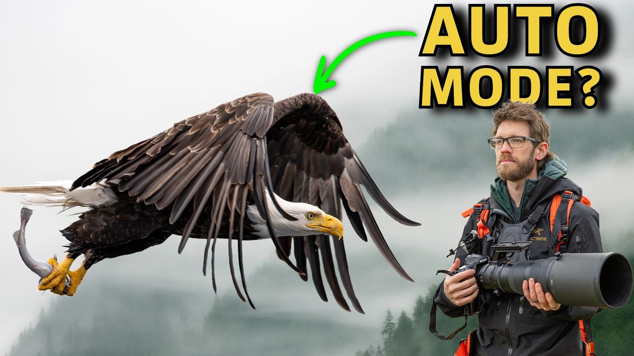 Why PROs Rely on Manual Mode with Auto ISO for Wildlife Photography