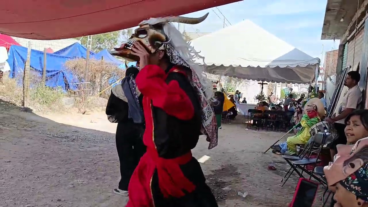 TORITO RANGEL, COL LAS JOYAS 