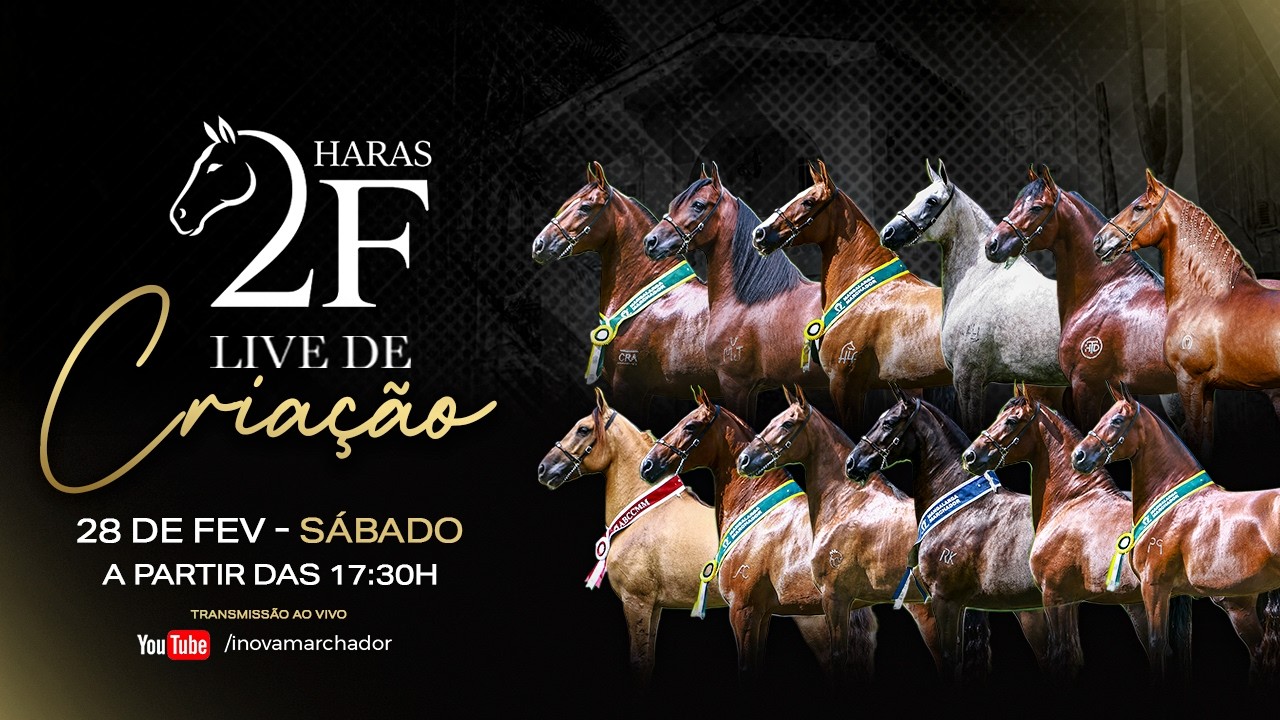 Live de Criação - Haras 2F- INOVA Marchador