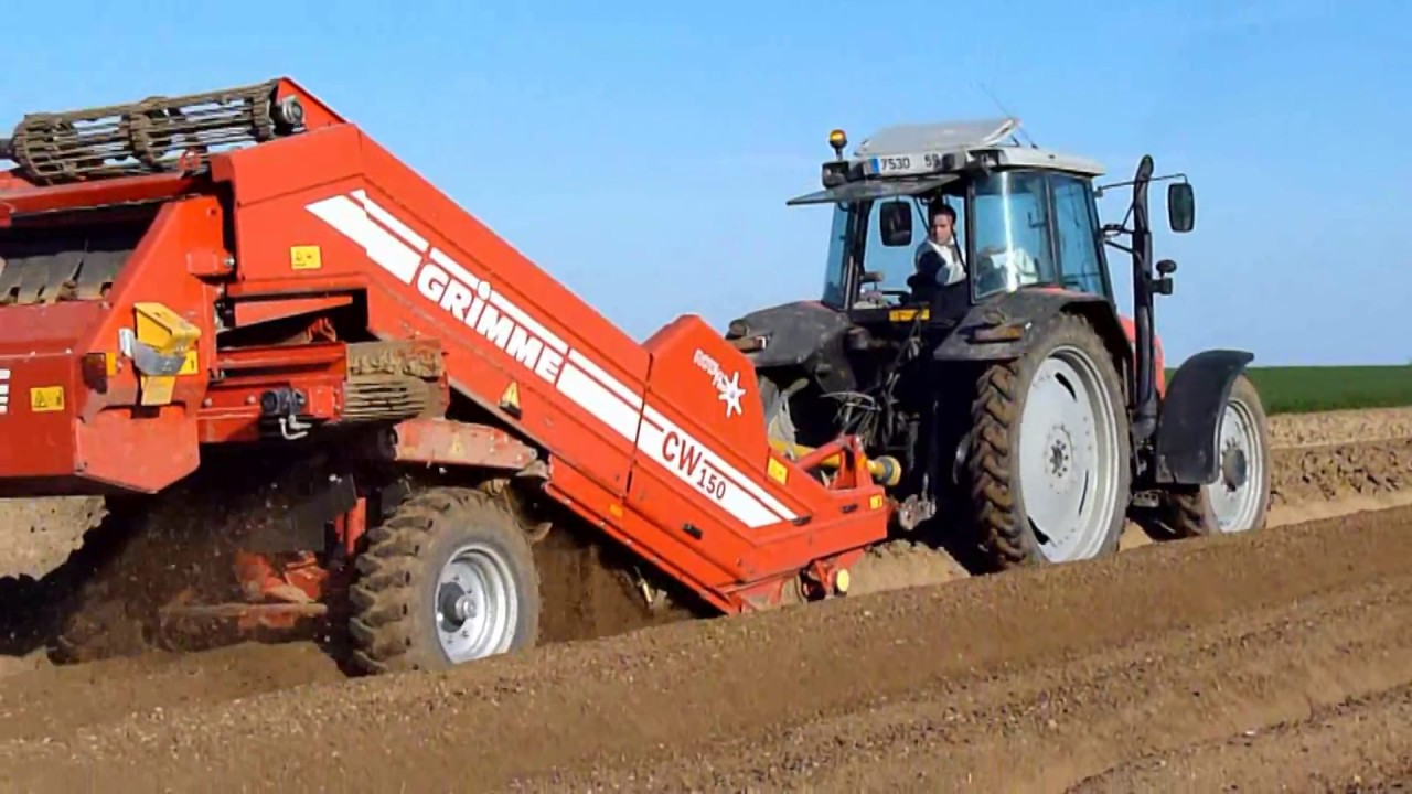 Préparation pour pommes de terre