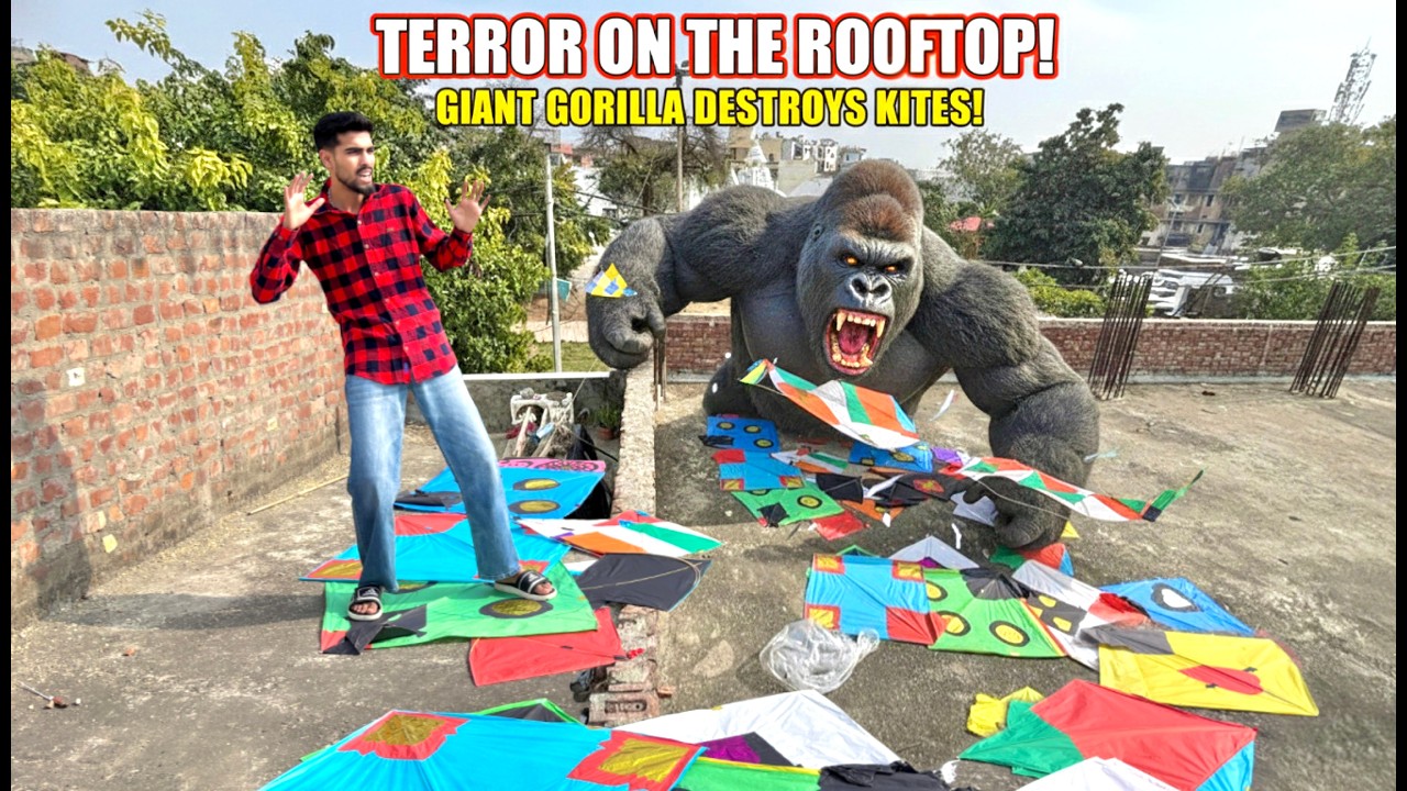 OmG! 😱 Real Life GORILLA 🦍 | Chhat Par Gorilla Aa Gaya! | Kites Destroyed 🪁❌ | Yogesh 01