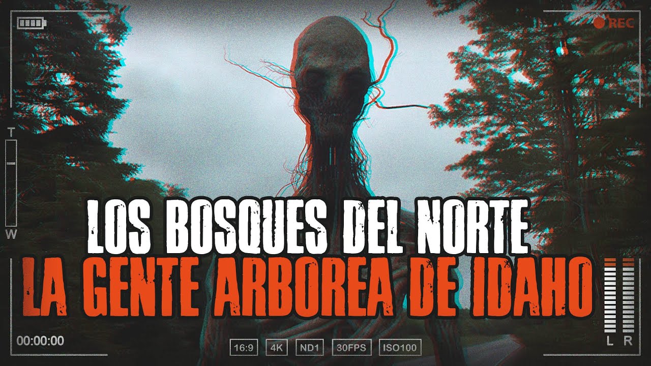 El bosque sagrado al norte de Idaho (Parte I) - /x/ Una historia de 4chan /🍀/