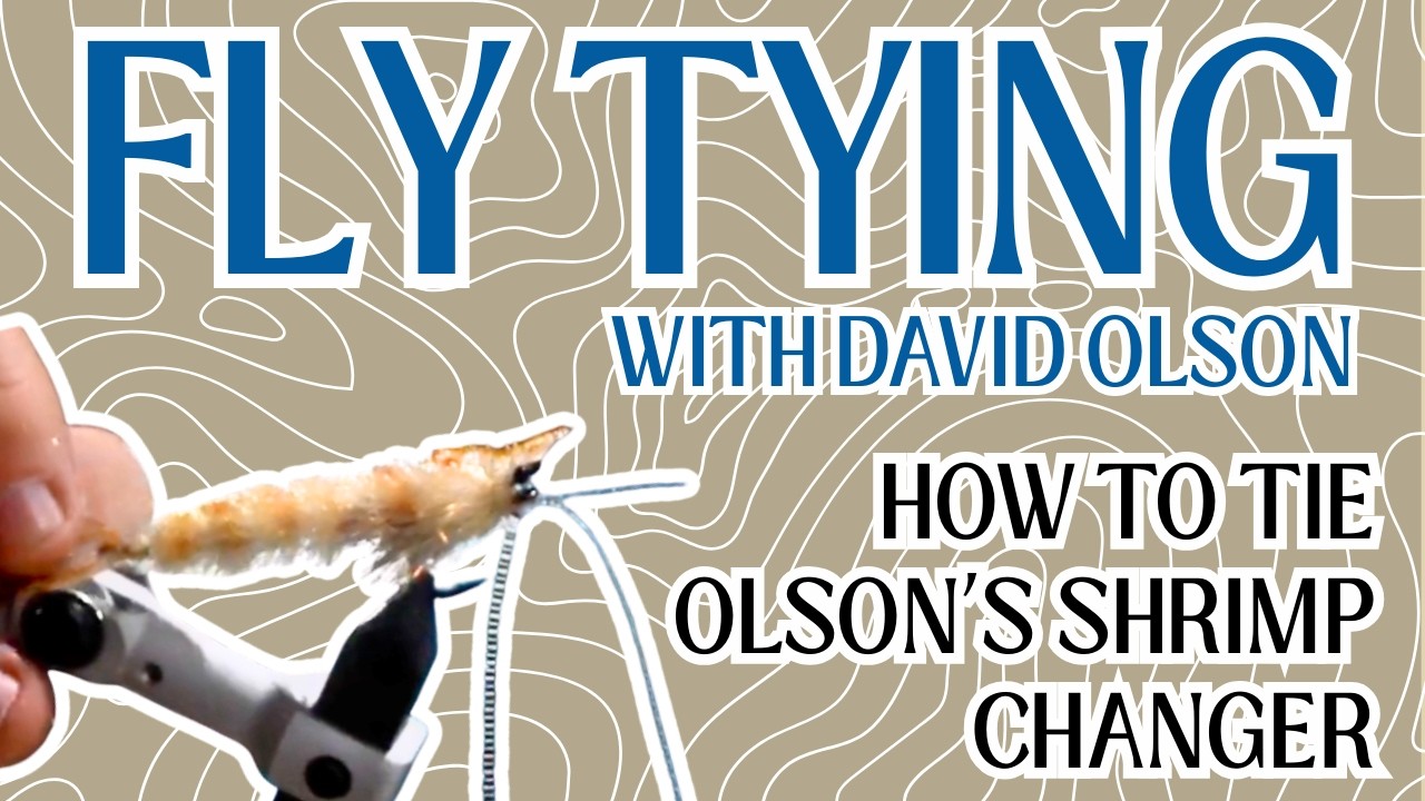 OLSON'S SHRIMP CHANGER: FLY TYING WITH DAVID OLSON
