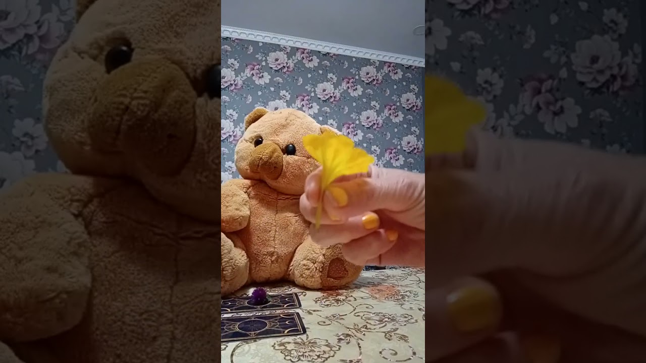 გაშლა ჯანმრთელობაზე  მაყურებლის სურვილით♥️