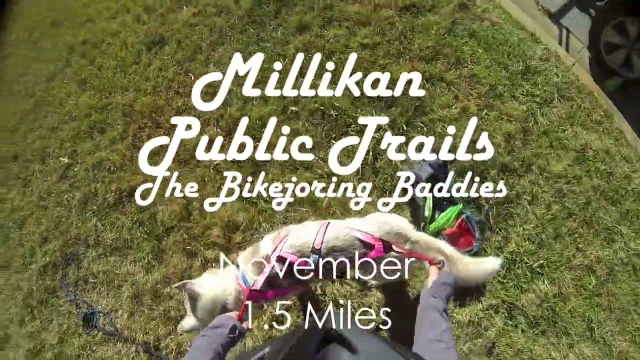 Miliken November 23