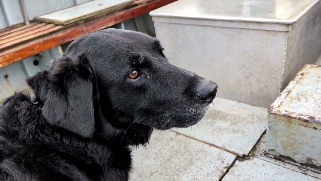 A walk on the gentle side