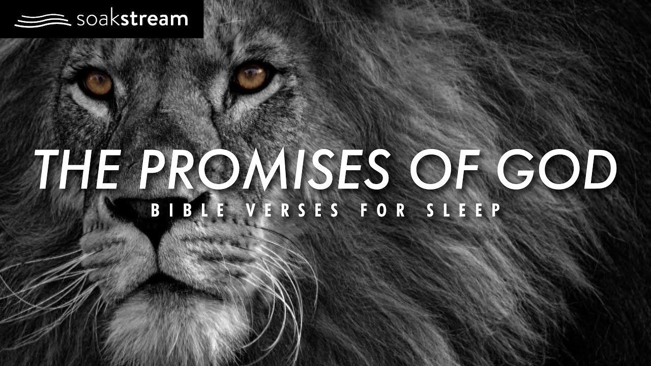 The Promises of God | Bible Verses For Sleep