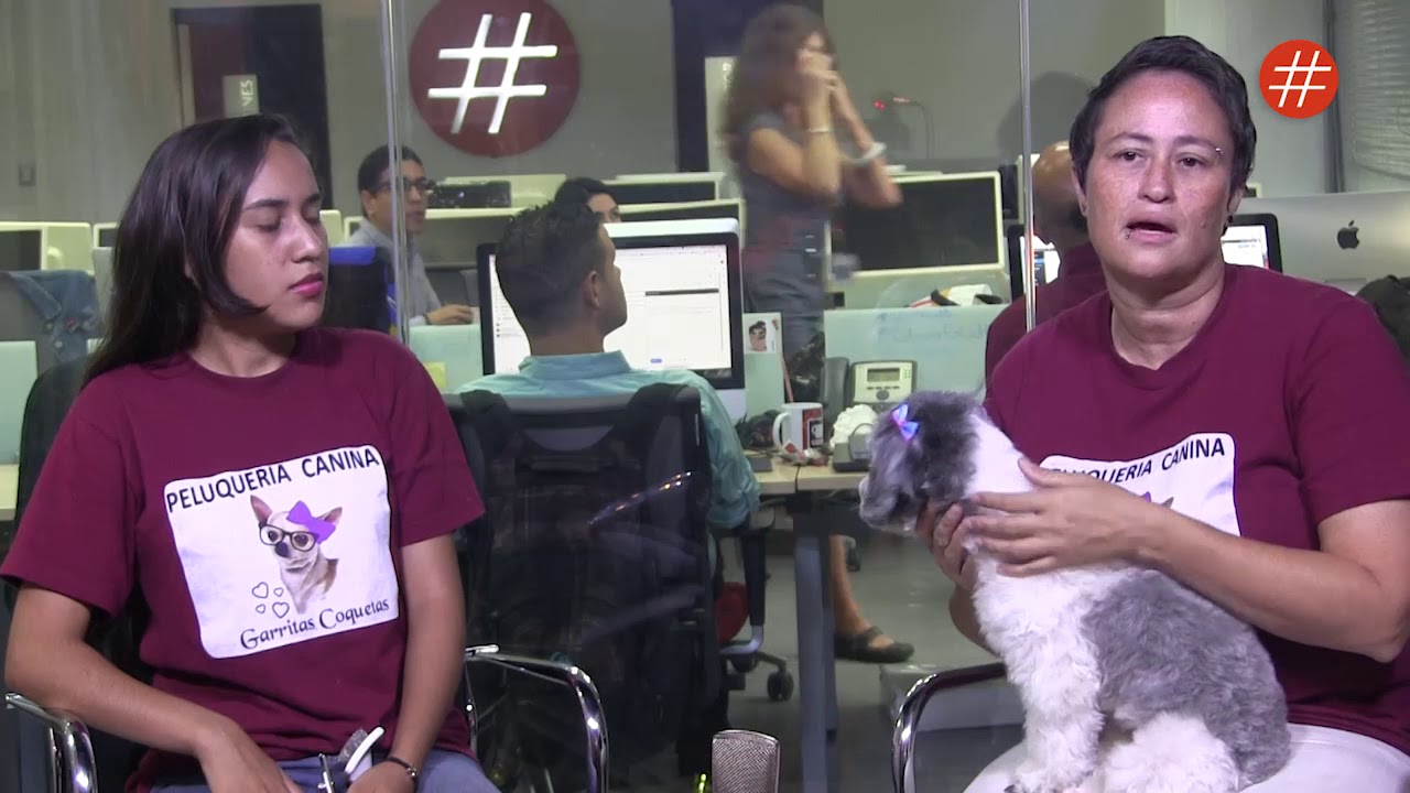 Garritas Coquetas muestra c&oacute;mo acicalar de manera correcta a las mascotas 🐱🐶