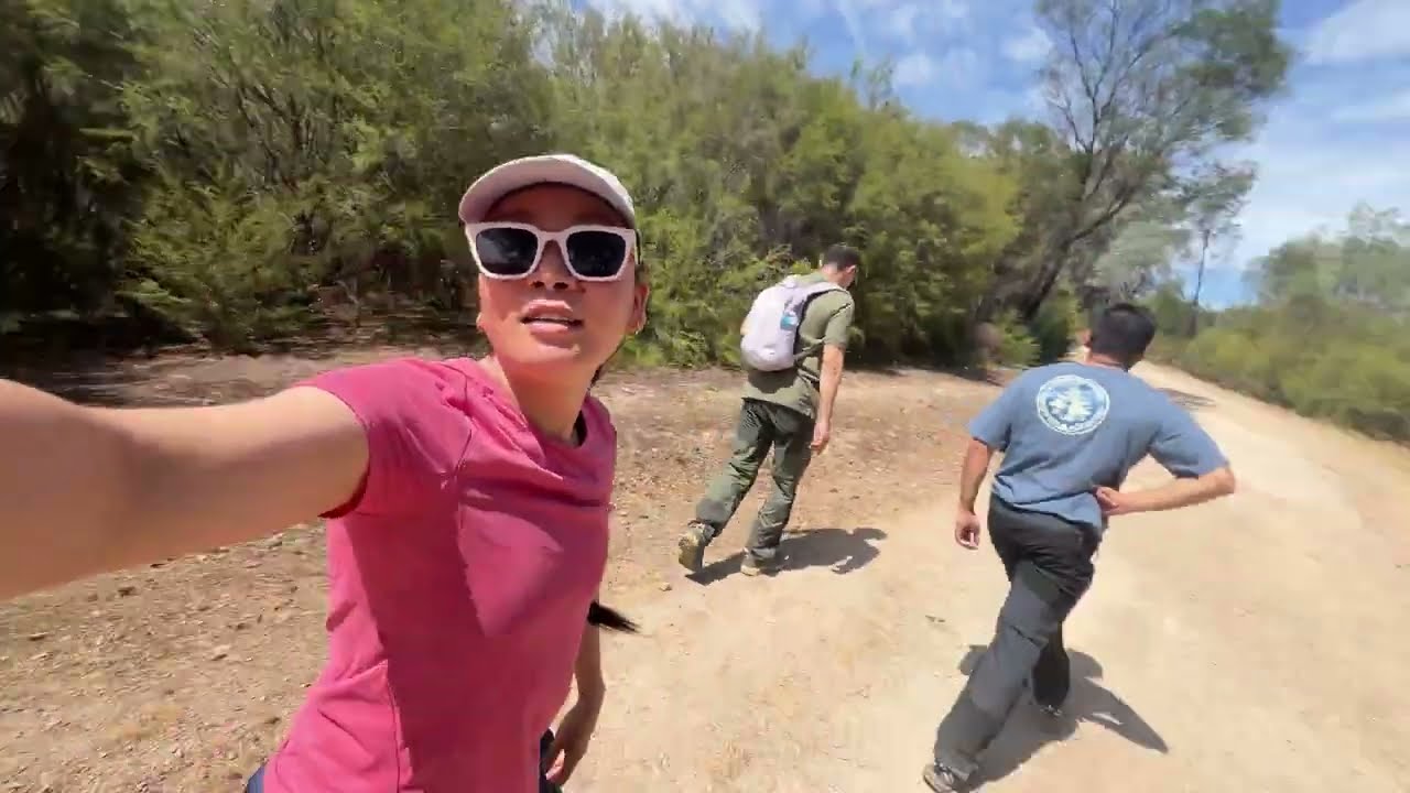 Beginner Hiking Spot in Australia 🥾 | Kangaroos, Nature & Tips| 1st February | Near Melbourne CBD
