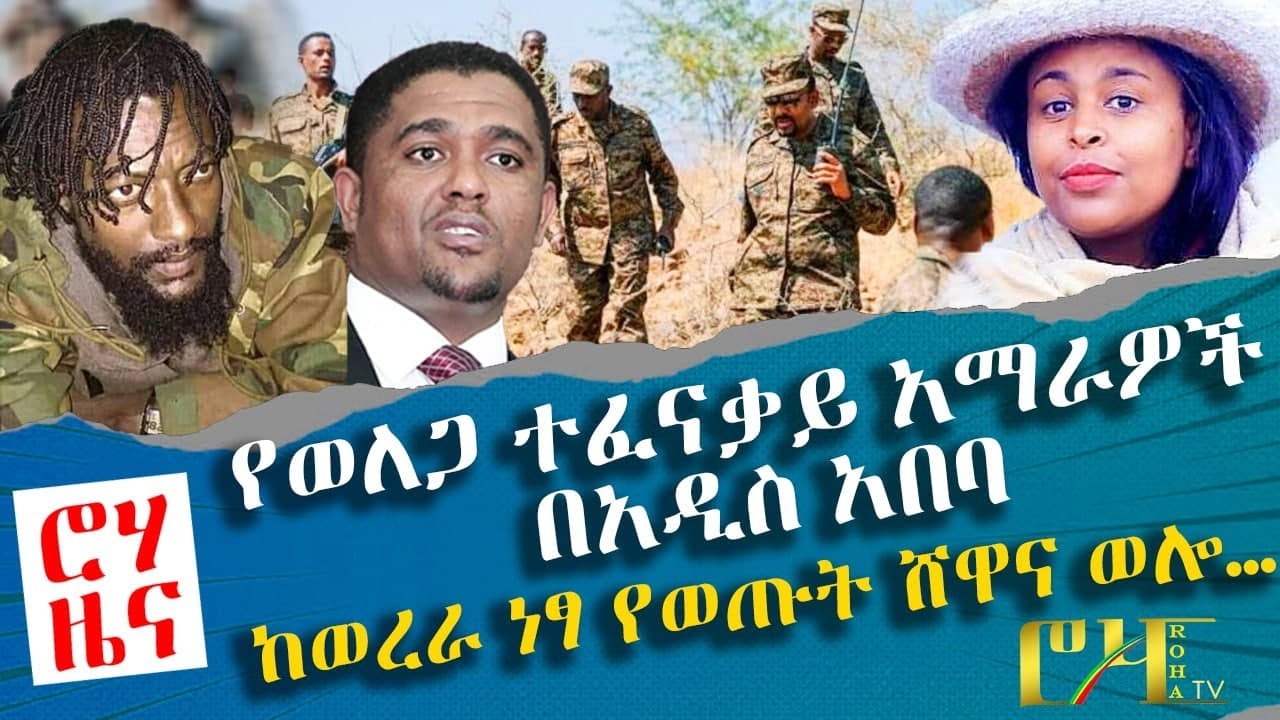 ሮሃ ዜና - የወለጋ ተፈናቃይ አማራዎች በአዲስ አበባ  - ከወረራ ነፃ የወጡት ሸዋና ወሎ…  / #ROHA TV / #ROHA NEWS /#Ethiopia News