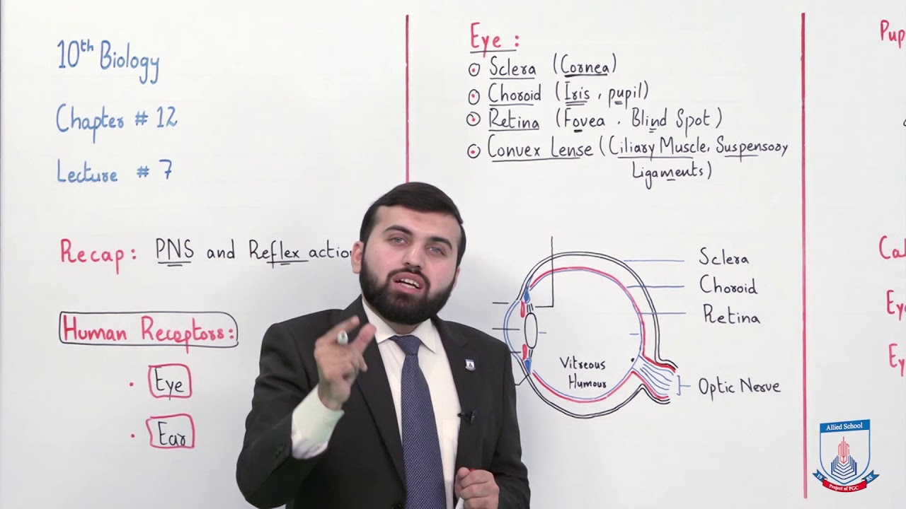 Class 10 - Biology - Chapter 12 - Lecture 7 Human Eye - Allied Schools