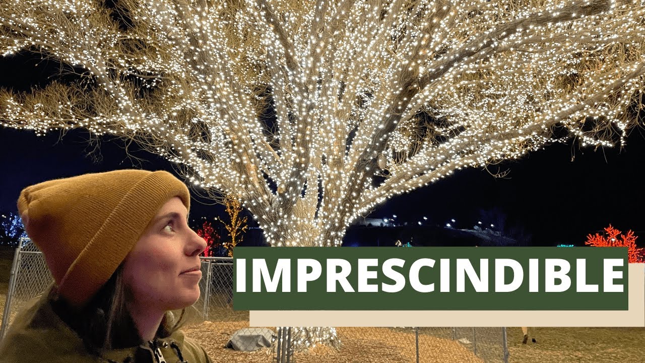 Luces en NAVIDAD 🎄 / VLOGMAS