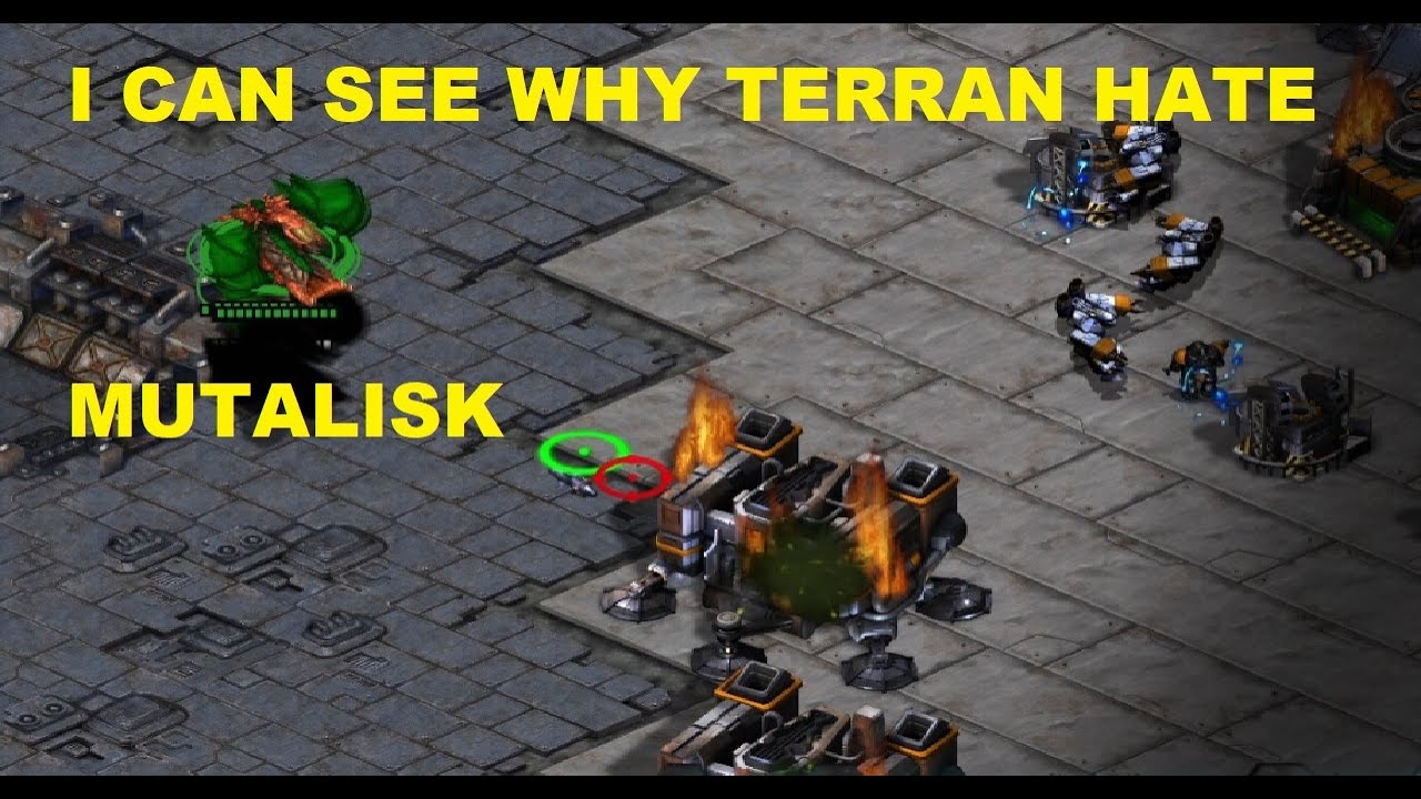 I CAN SEE WHY TERRAN PLAYERS HATE MUTALISK