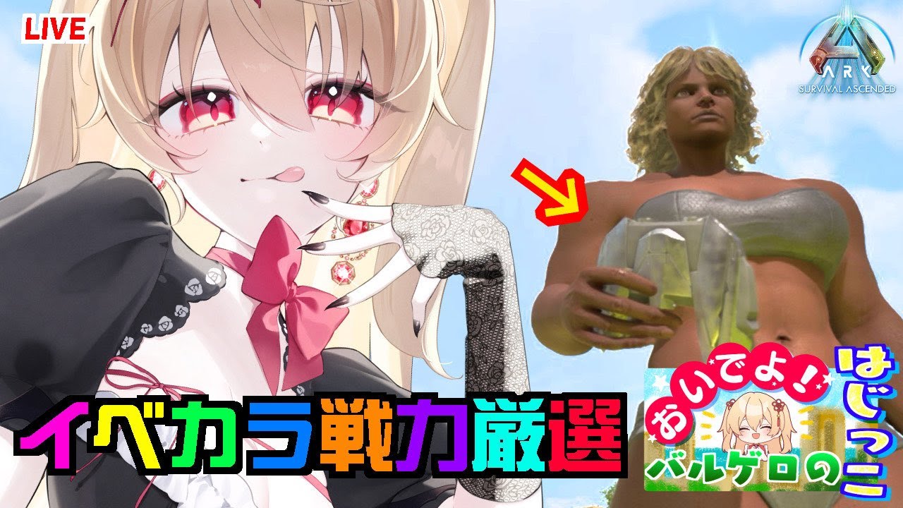 【ASA公式 】バルゲロ　TEK双眼鏡厳選