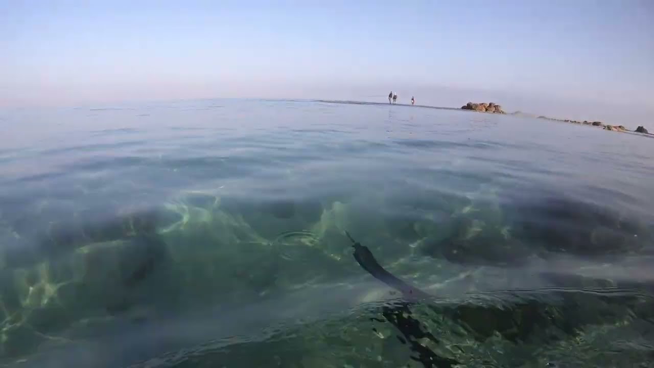 Bat yam, clear water - 29/4/22
