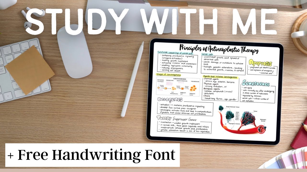 STUDY WITH ME + Free Handwriting Font DOWNLOAD | GoodNotes5, Quizlet, Office Word