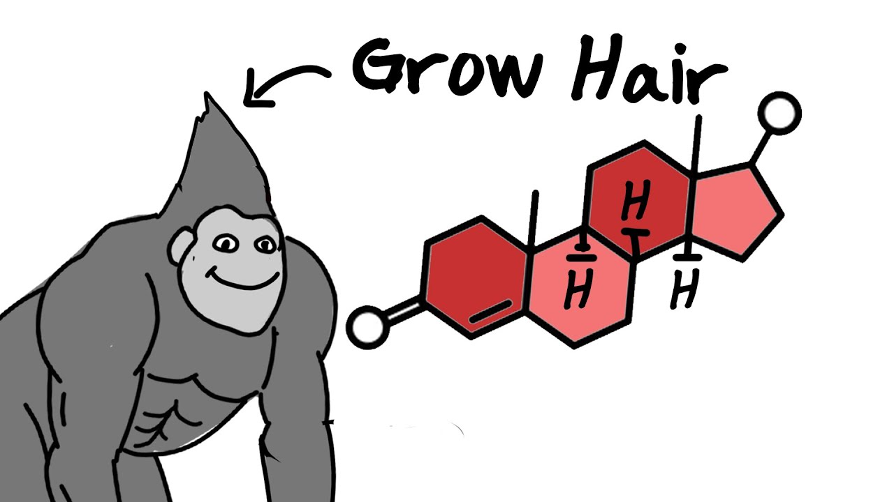 How To Block DHT Explained By Monkey