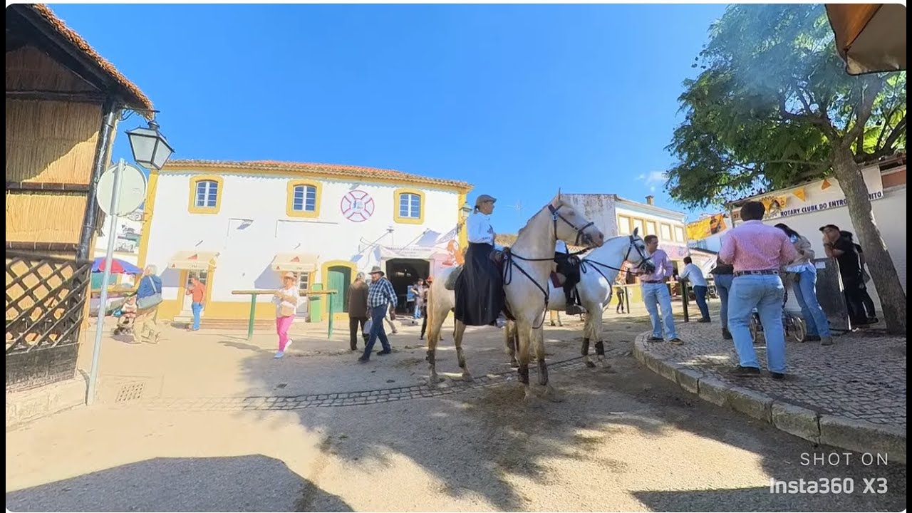 Parte 10/13 Versão 4K Insta360X3  Nazaré 》 Golegã 06 11 2024