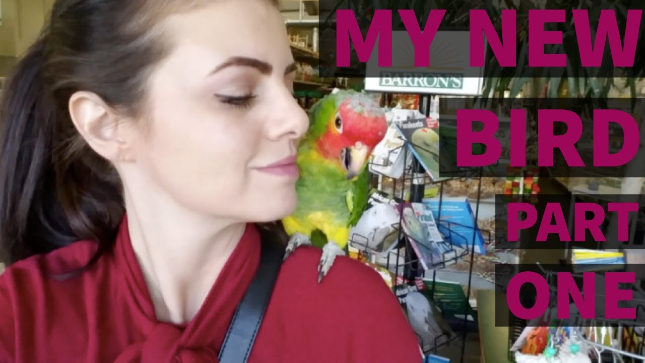 YOUTUBE BOUGHT ME A PET!!!!  (True Story)  | The Leo Story | Part One