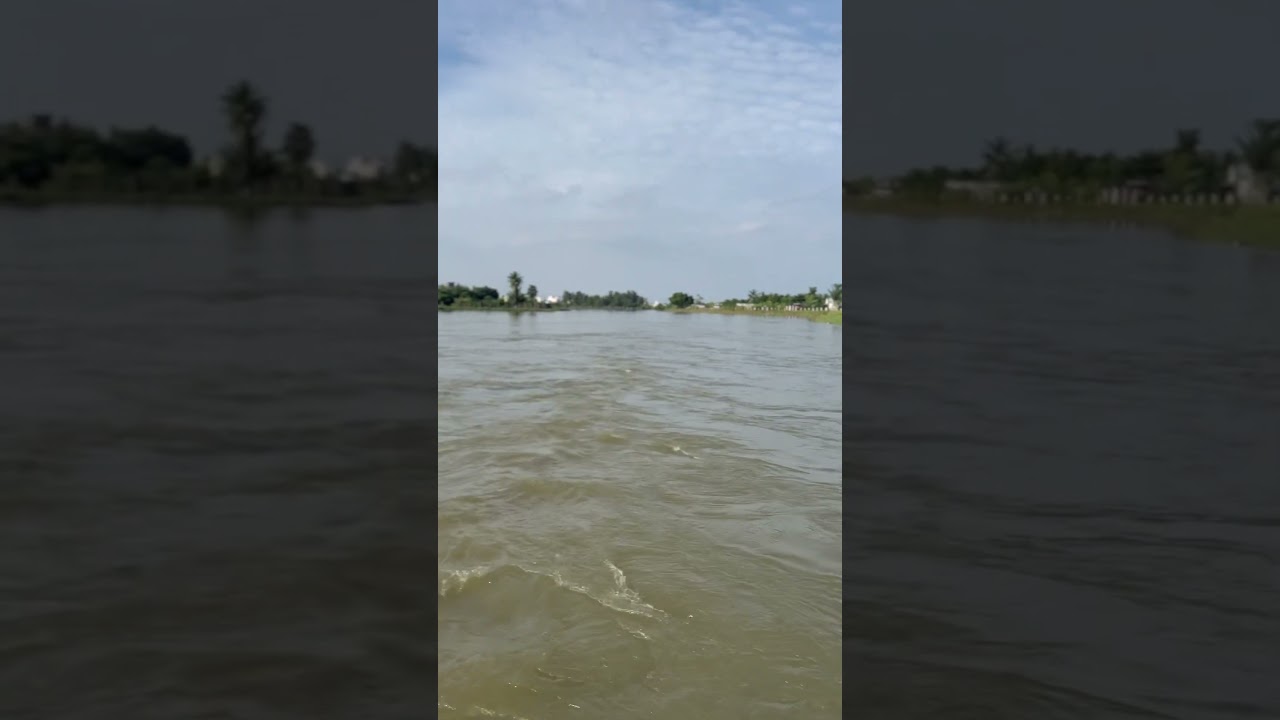 Chennai rains adyar river