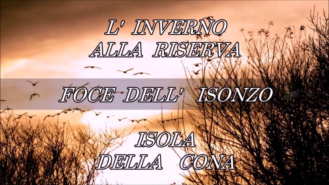 L' inverno alla Riserva naturale della Foce dell' Isonzo, Isola della Cona (seconda parte)