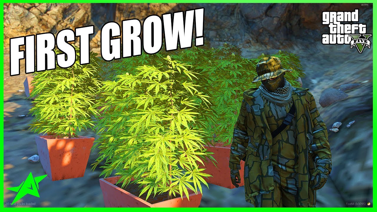 OUR FIRST GROW OF PRODIGY 2.5! | GTA 5 Roleplay (ProdigyRP 2.5 Whitelist)