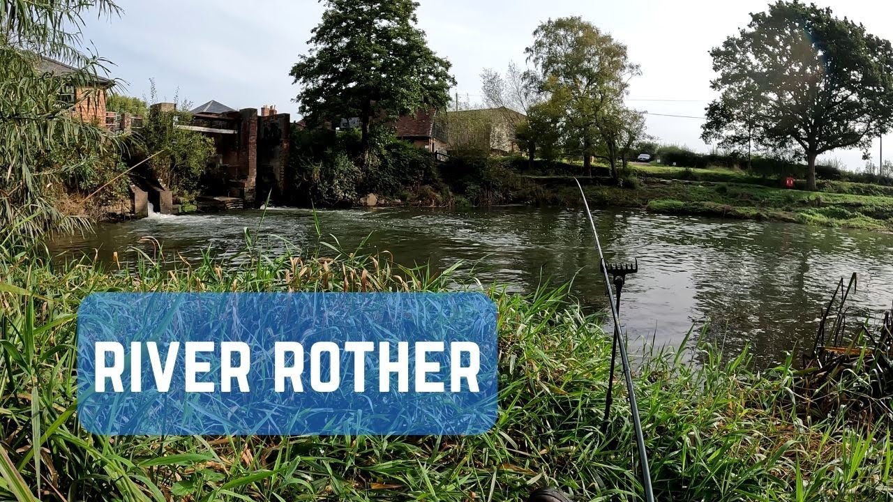 River Fishing / River Rother West Sussex