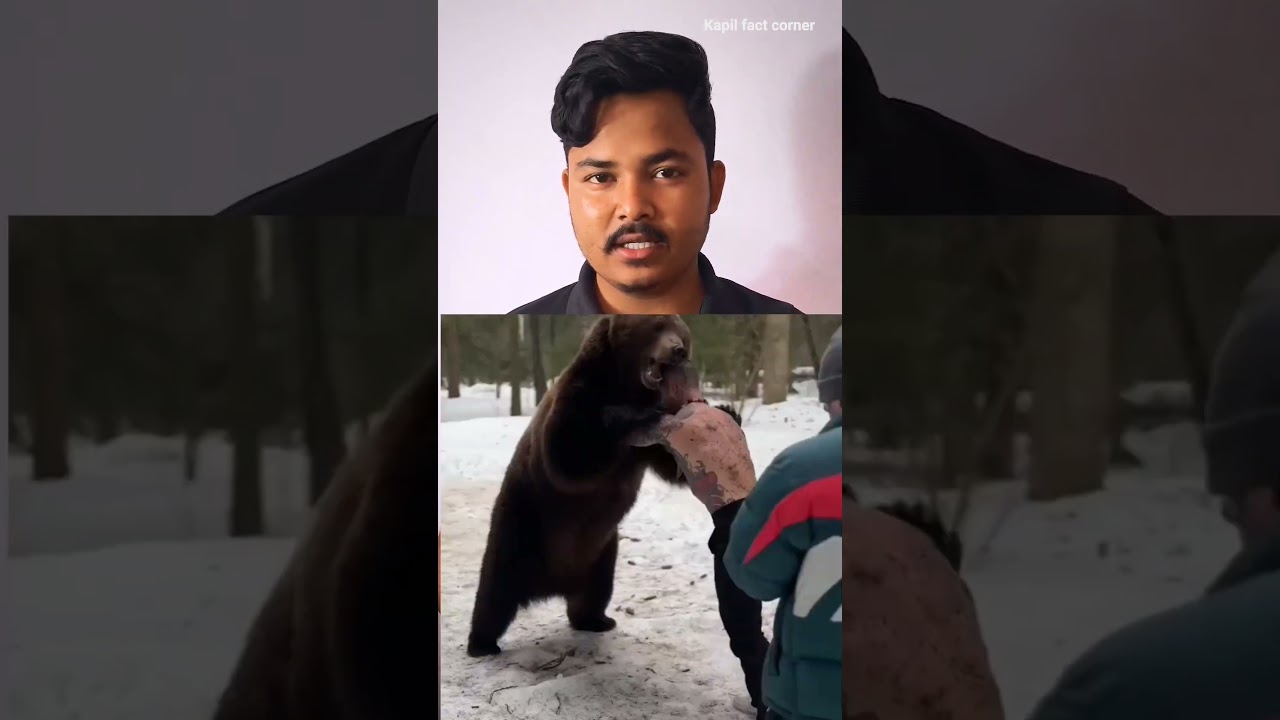 which animal can crush a human skull in one bite 