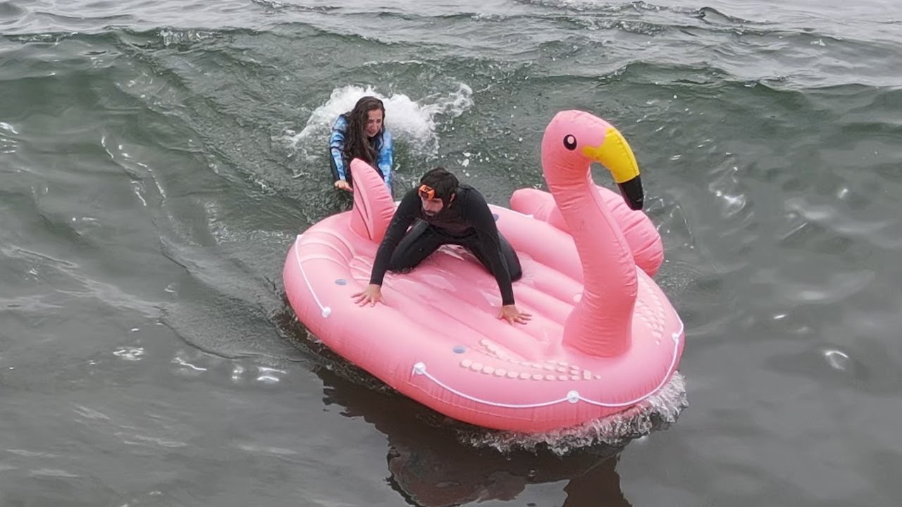 GIANT FLAMINGO Surfing (EPIC Wipeouts)