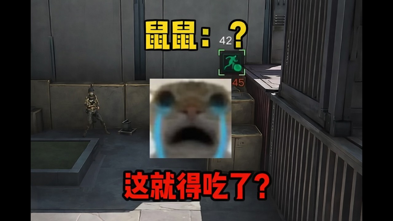 【三角洲行动】得吃的鼠吃 玩游戏的意义当鼠鼠用六头在绝巴创业助人为乐奖复苏呼吸机