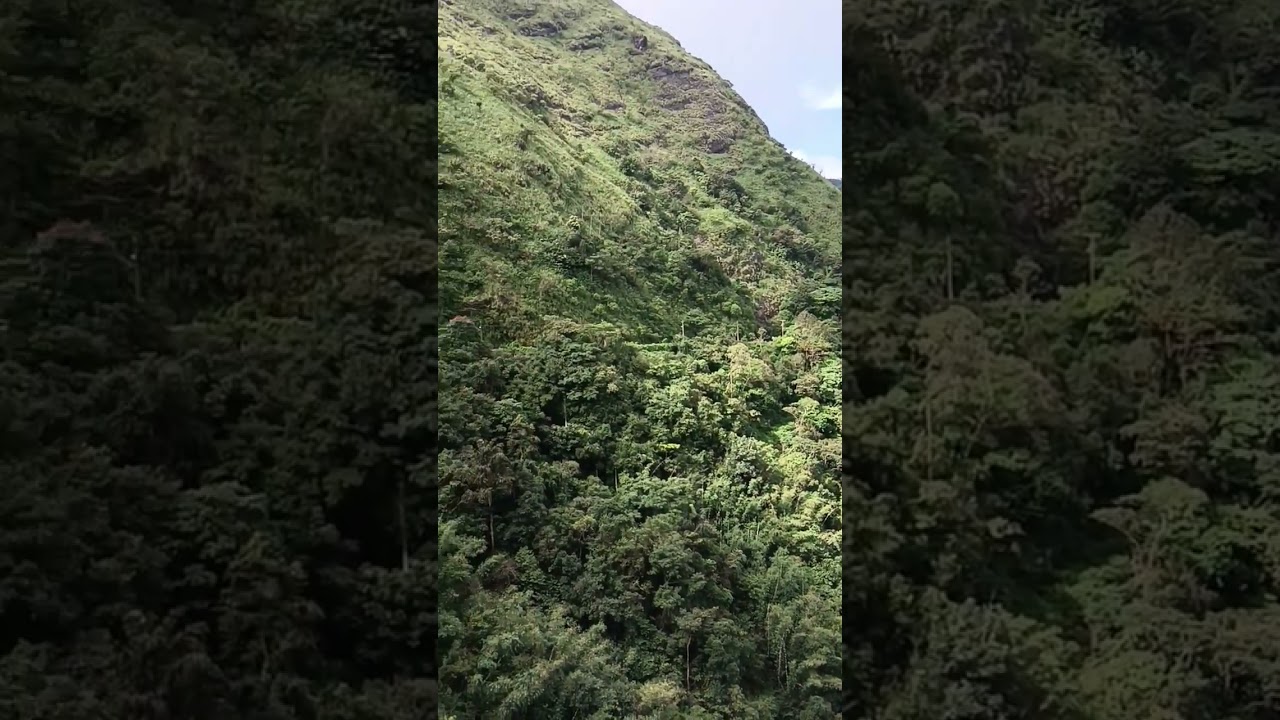 Beauty of nature! #nature #beauty #kerala #vagamon #vagamonhills #india