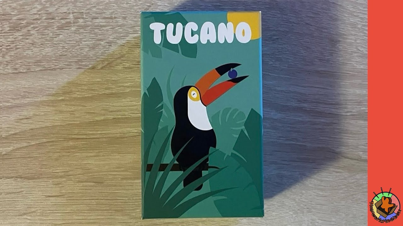 TUCANO 🍊 | ASMR (no talking)