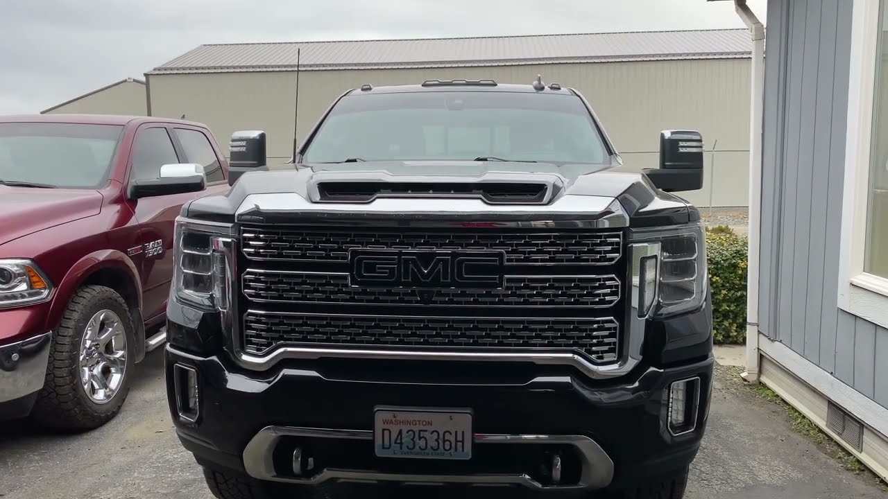 The Beast