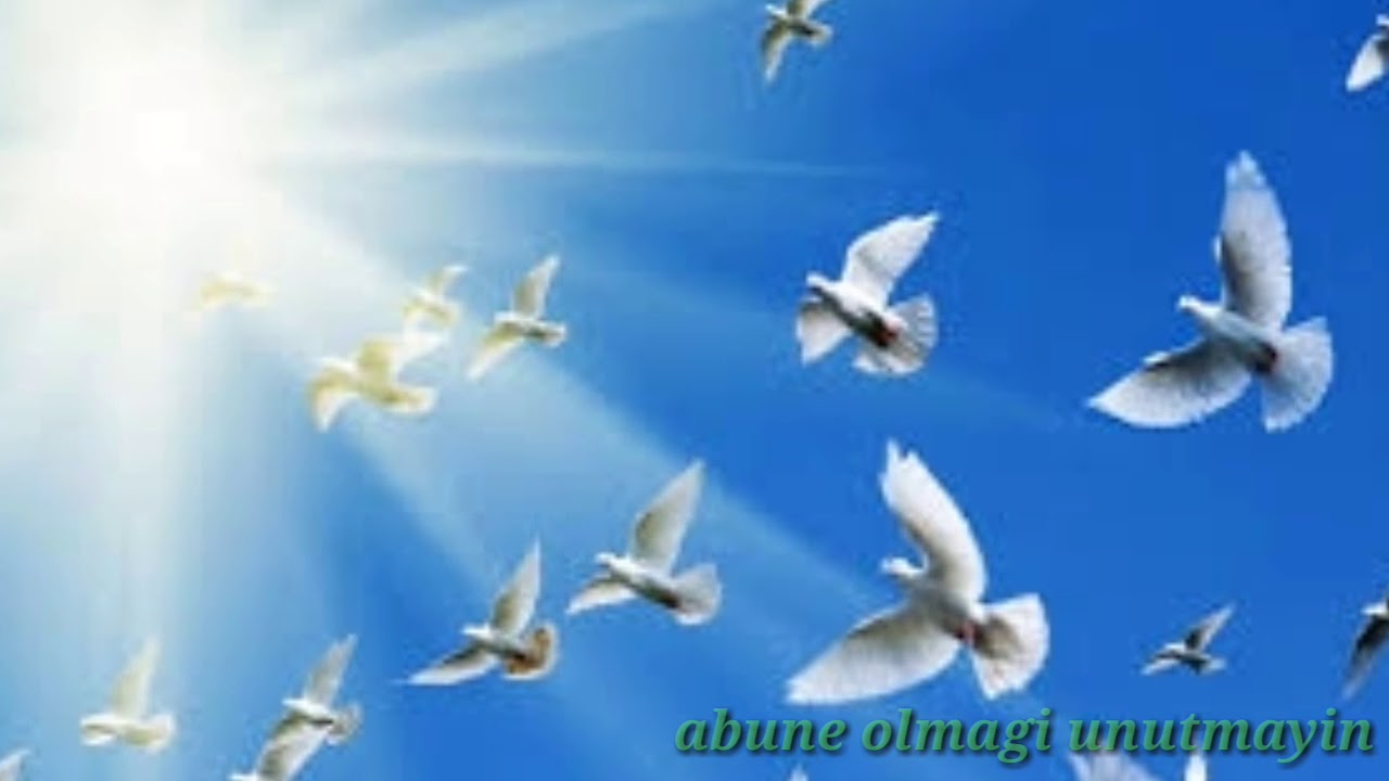 ALLAHIN yaratdigi 4 Boyuk melek haqqinda