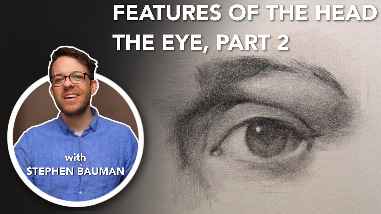 Features Of The Head, The Eye, Part 2