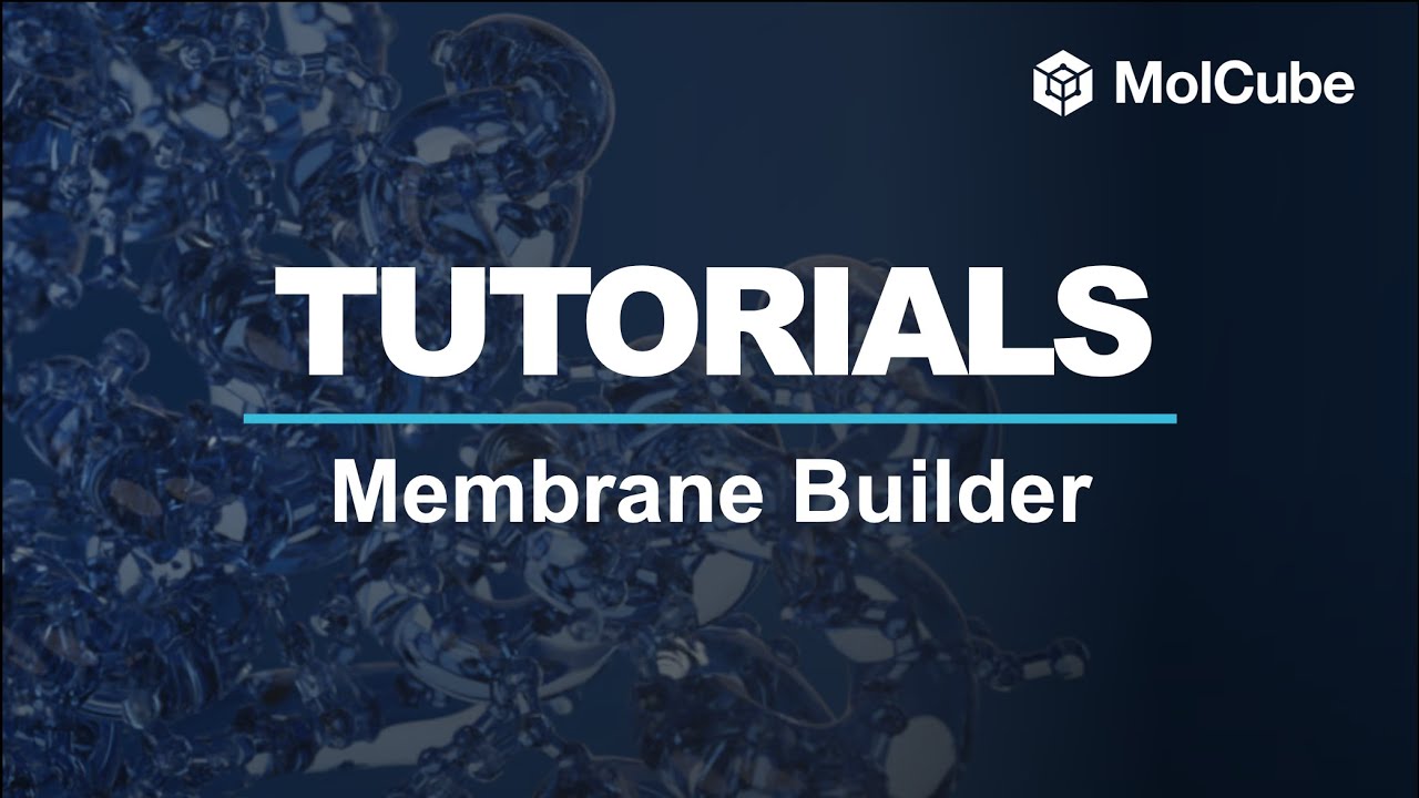 03. Membrane Builder