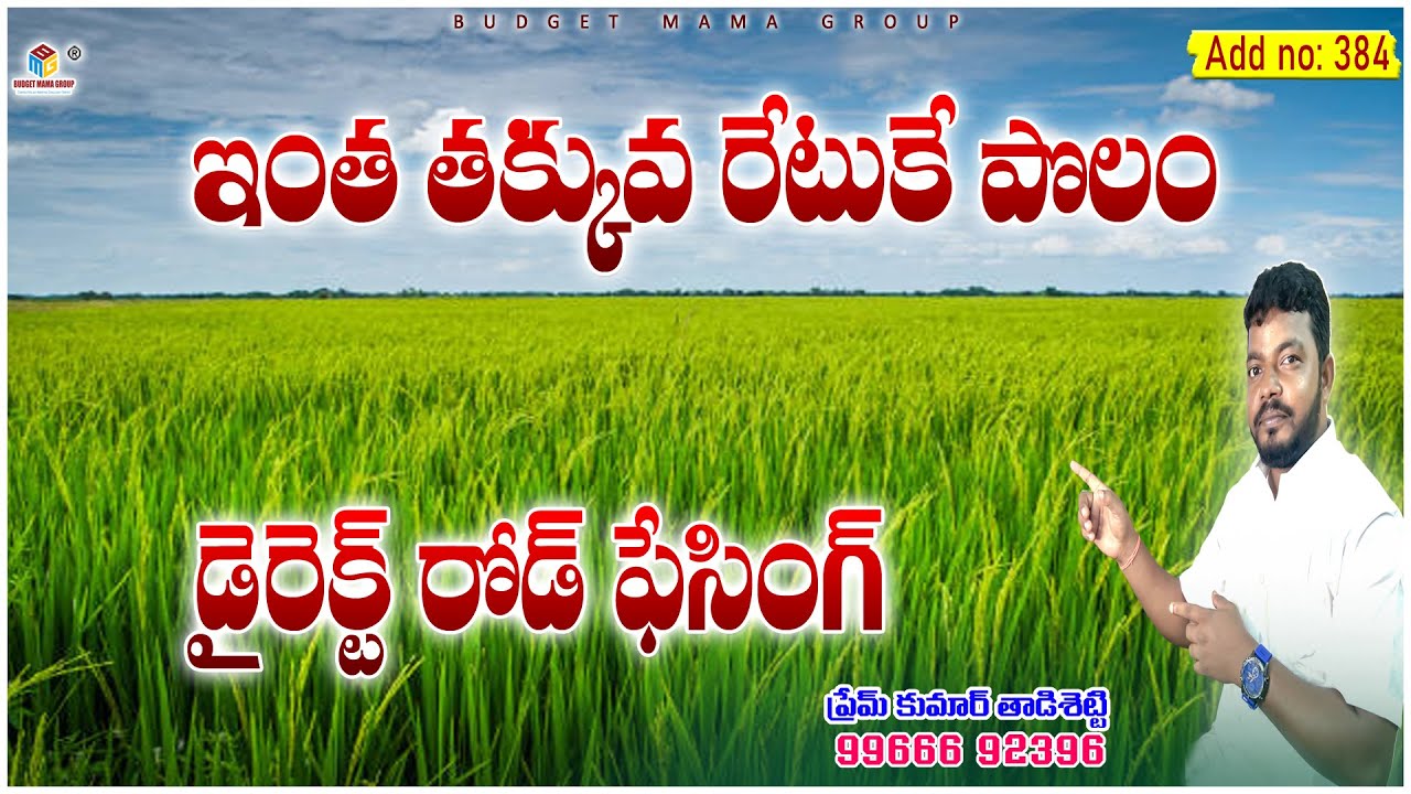 ADD NO: 384  డైరెక్ట్ రోడ్ ఫేసింగ్ పొలం అమ్మకం || మొత్తం ఎకరం అరవై మూడు సెంట్లు || సూపర్ ఆఫర్ మామ